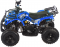 Квадроцикл  MOTAX ATV Mini Grizlik X-16 (э/с)