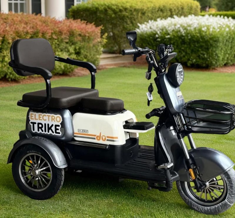 Электротрицикл ElectroTrike Бумеранг Pro Серый Электротрицикл ElectroTrike Бумеранг Pro Серый