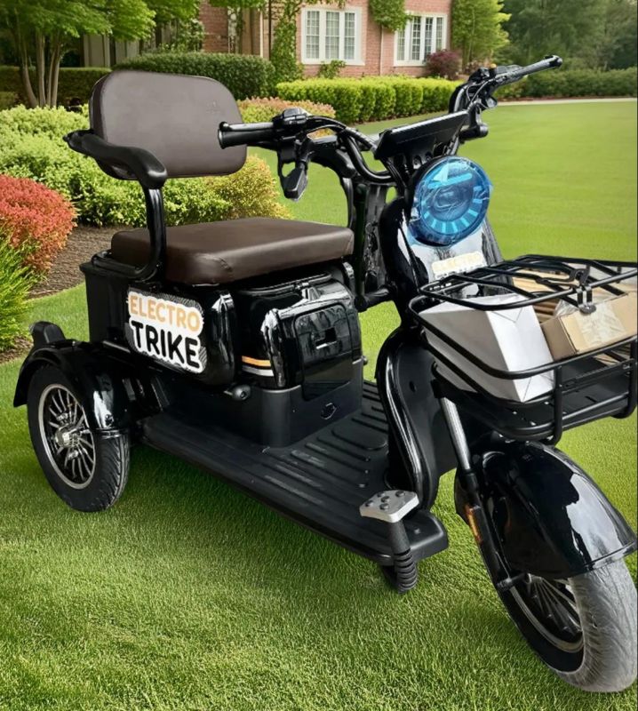Электротрицикл ElectroTrike Бумеранг Pro Черный Электротрицикл ElectroTrike Бумеранг Pro Черный
